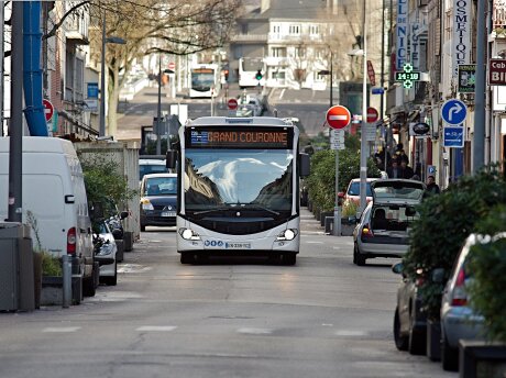 ©  CC BY 2.0 - Frédéric Bisson, Wikimedia commons