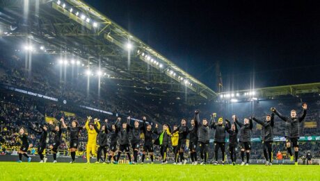 ©  BVB