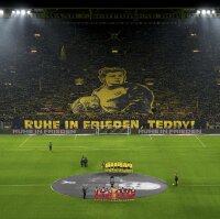 ©  BVB