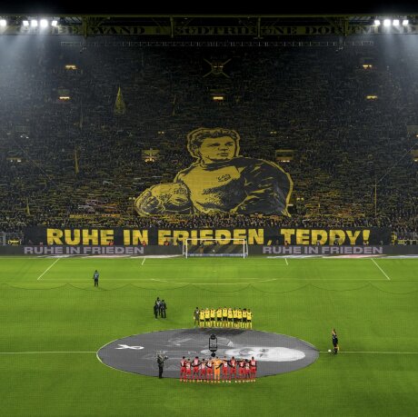©  BVB