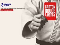 ©  France Judo