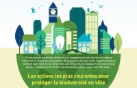 ©  Observatoire des villes vertes