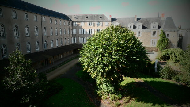 L’UCO Laval recherche un ou une directeur (-trice) exécutif (-ve)