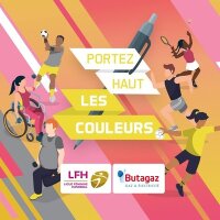 ©  Ligue Féminine de Handball