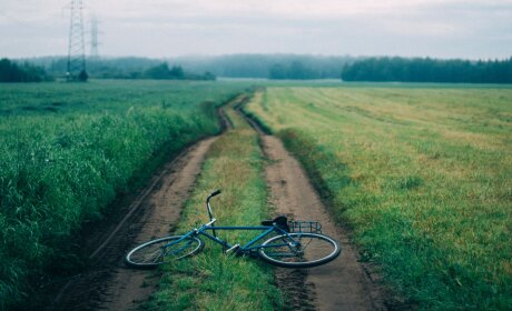©  Анна Васильева