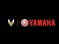 ©  Team Vitality