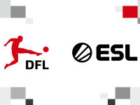 ©  DFL
