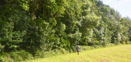 ©  Afac-Agroforesteries