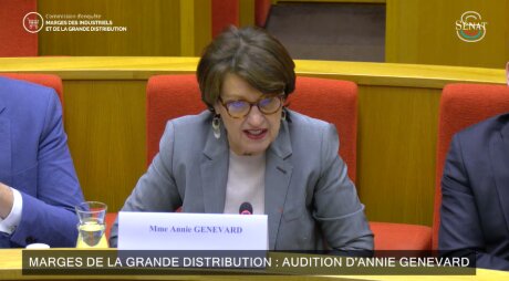 ©  Capture d'écran - Sénat