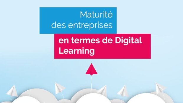 La maturité des entreprises en termes de Digital Learning - © D.R.