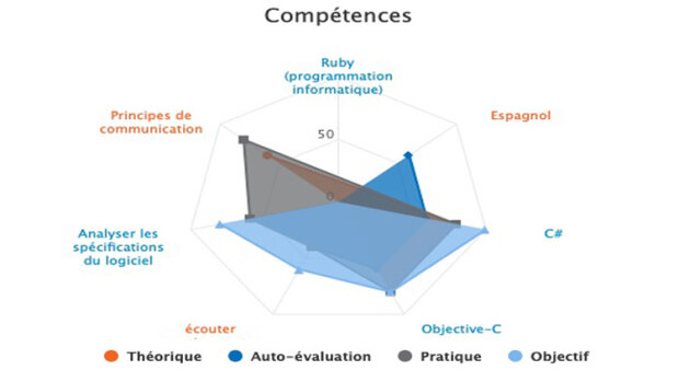Visualiser les compétences de vos équipes avec SkillsBoard - © D.R.