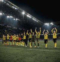 ©  BVB