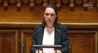 ©  Sénat, capture d'écran