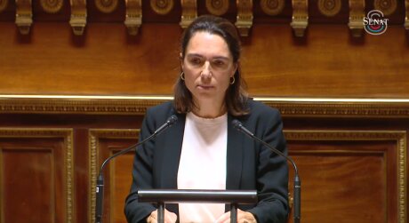©  Sénat, capture d'écran