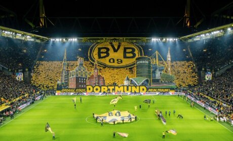 ©  BVB