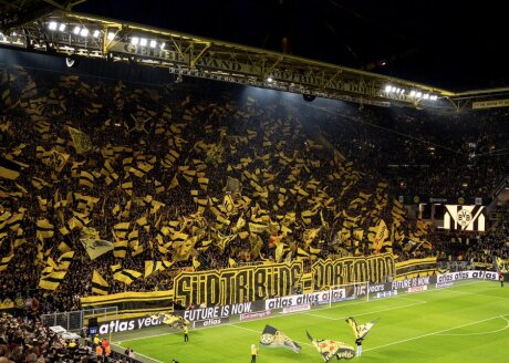 ©  BVB