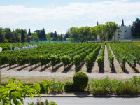 ©  Institut Agro Montpellier