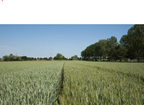 ©  Xavier Remongin/agriculture.gouv.fr