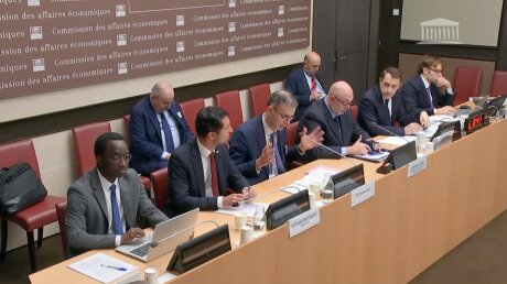 ©  Assemblée nationale