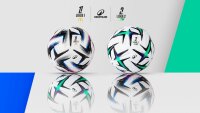 ©  Ligue de Football Professionnel