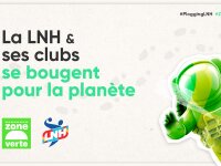 ©  Ligue Nationale de Handball