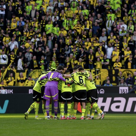 ©  BVB