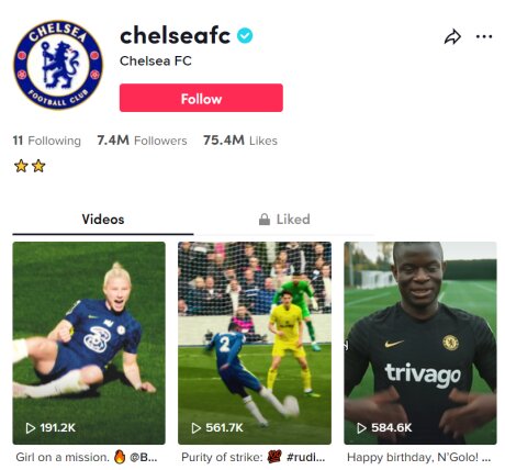 ©  Chelsea FC