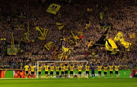 ©  BVB