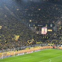 ©  Borussia Dortmund