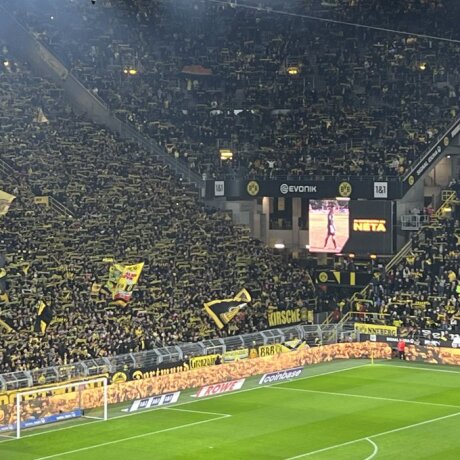 ©  Borussia Dortmund