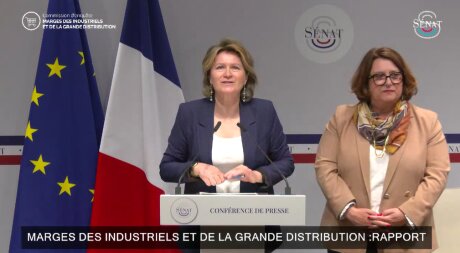 ©  Capture d'écran - Sénat