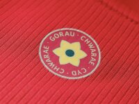 ©  Football Association of Wales