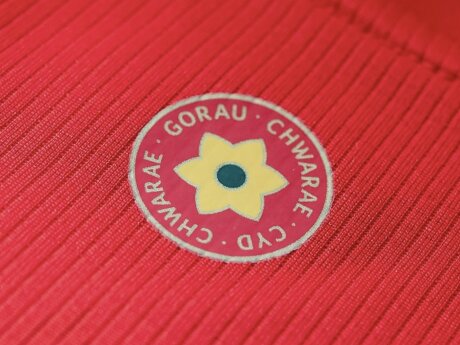 ©  Football Association of Wales