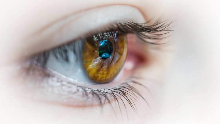 Ce que l’eye tracking apporte à la formation - D.R.
