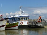 ©  Pixabay