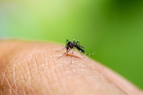 ©  Flickr