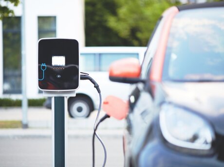 ©  @licencecreativecommons