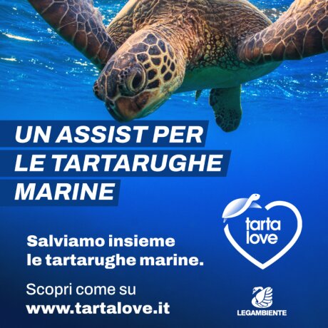 ©  Lega Serie A