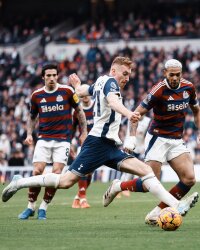 ©  Tottenham Hotspur