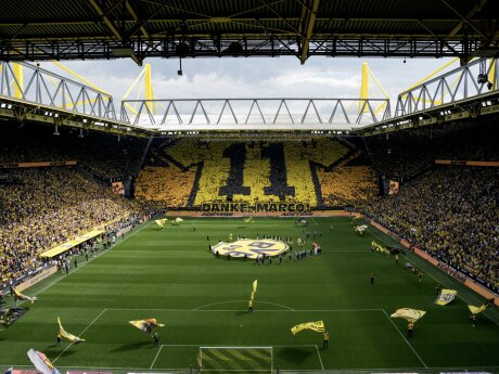 ©  BVB