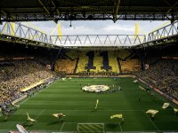 ©  BVB