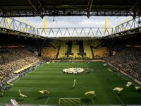 ©  BVB