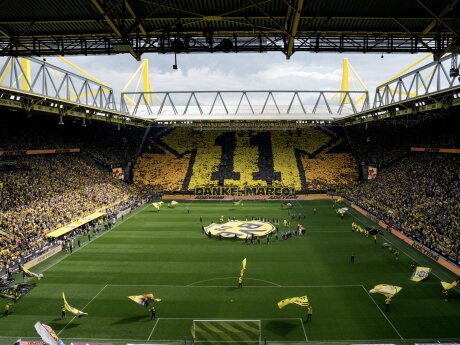 ©  BVB