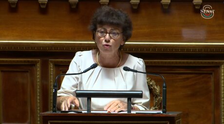 ©  Capture d'écran - Sénat