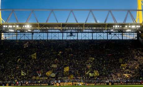 ©  BVB