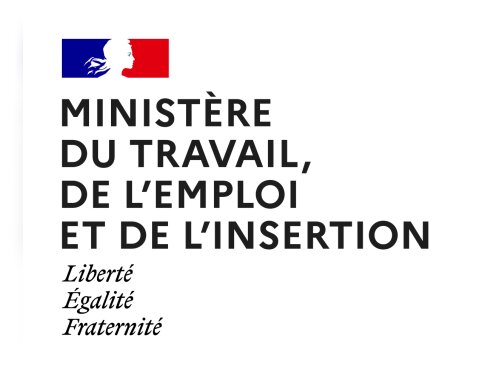 © Ministère du travail, de l'emploi et de l'insertion