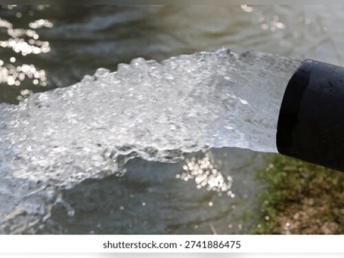 ©  Shutterstock