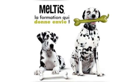 Comment motiver ses collaborateurs sans les augmenter ? - D.R.