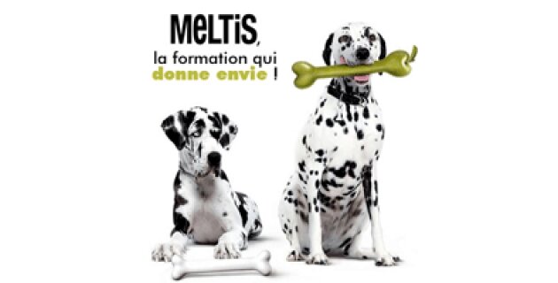 Comment motiver ses collaborateurs sans les augmenter ? - D.R.