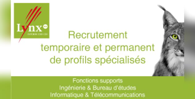 Réseaux Lynx RH et aquila RH : les start-ups du recrutement - D.R.